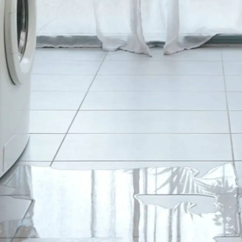 Appliance Leak Cleanup in Milan, MO