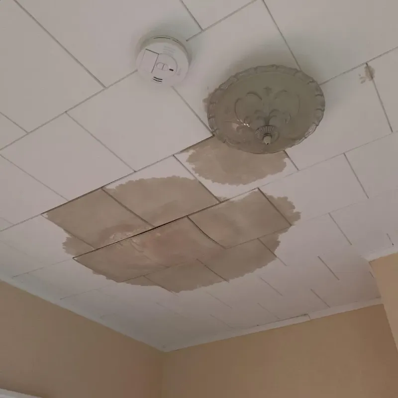 Ceiling Water Damage Repair in Milan, MO