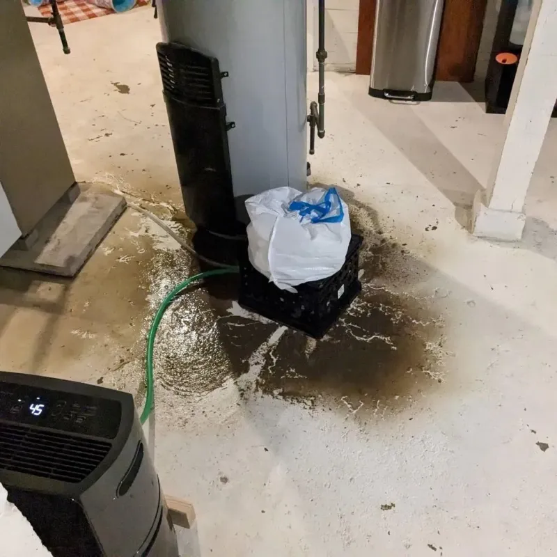 Sewage Backup Cleanup Service in Milan, MO